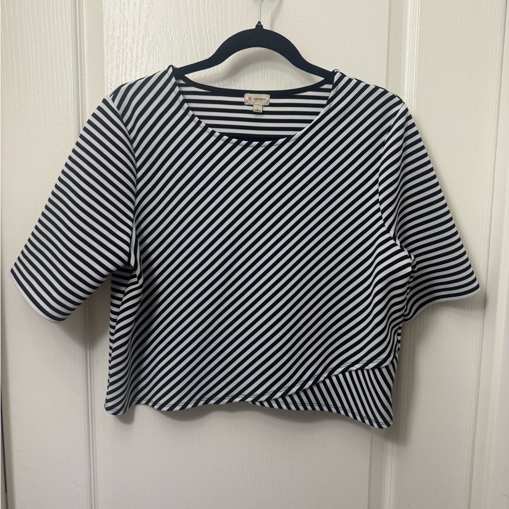 Daniel Cremieux Navy and White Diagonal Striped Cropped Top